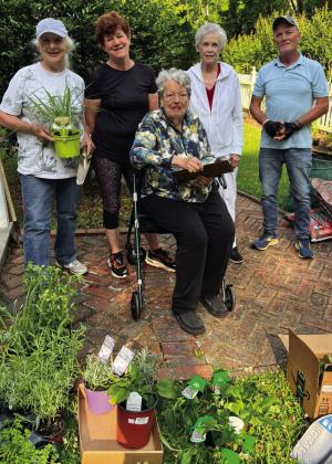 Garden Club plants historic herb garden