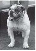 Local bank has ties to original Georgia bulldog