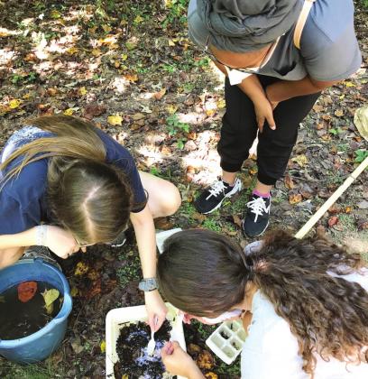 Students use macroinvertebrates in streams and ponds to tell them about water quality! (Clockwise from top: Alexia (Master’s in Health Promotion), Andrea (Pre-Nursing), Michelle (Environmental Science). CONTRIBUTED