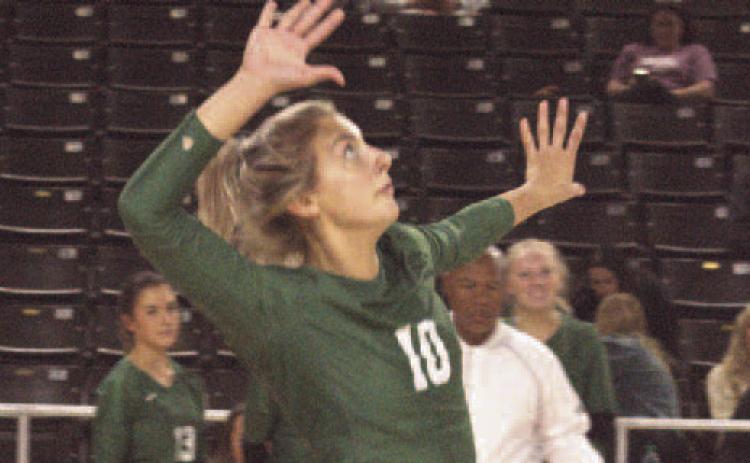 Volleyball Bobcat Machovec named to All-Conference First Team