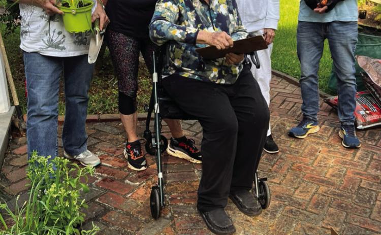 Garden Club plants historic herb garden