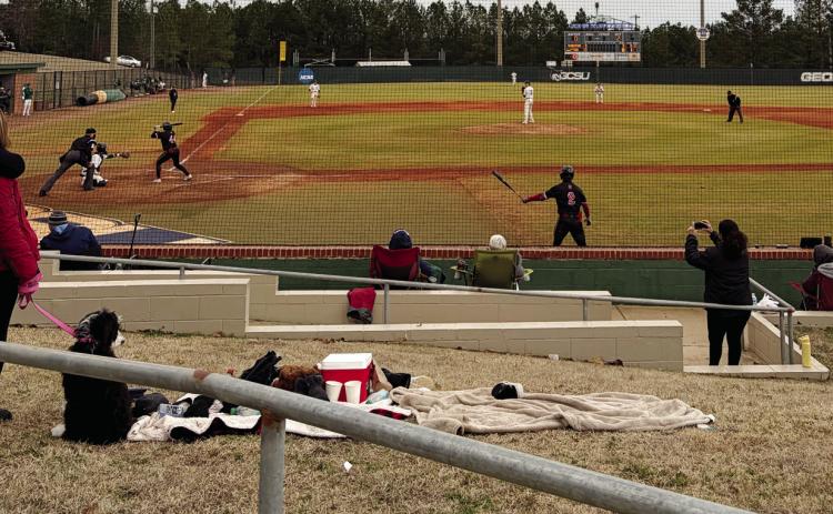 Bobcats open 2026 season with losses to No. 1 Tampa