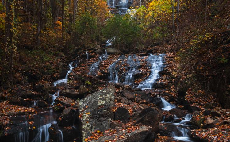 Autumn at Amicalola Falls State Park | COURTESY OF CHRIS GREER