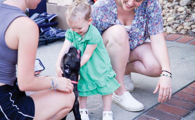 A young attendee enjoys interacting with a puppy in front of the Lakeside Baptist Church tent. ANSLEY KATE ALLEN/Staff