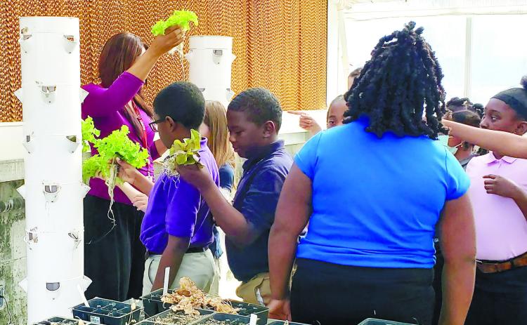 YES Program students work with the hydroponic system.