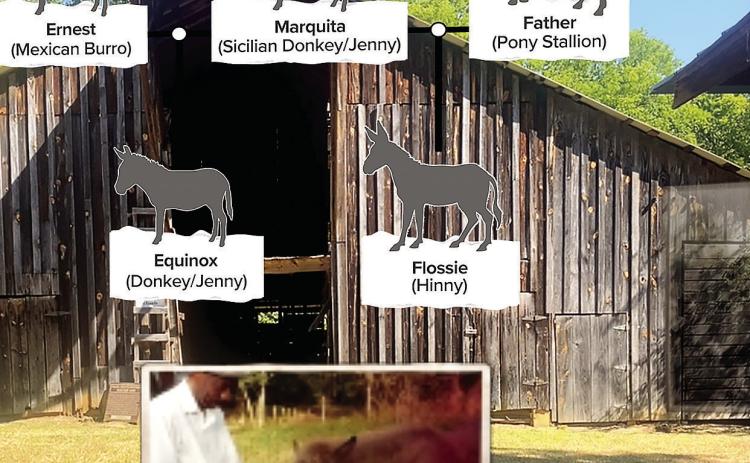 Andalusia offers new AR self-guided tour