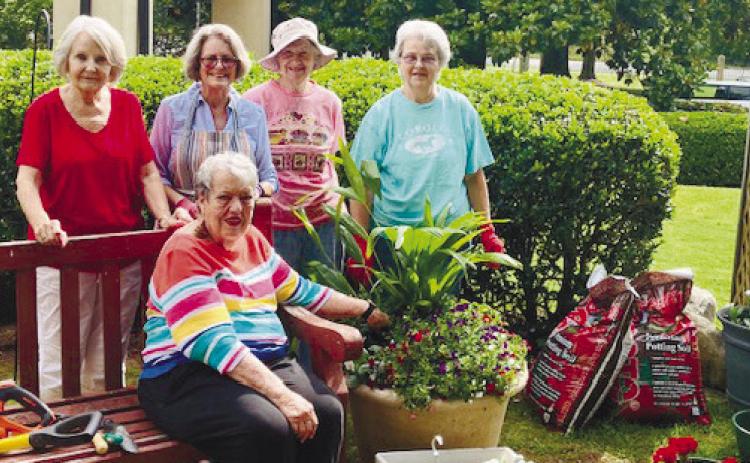 Service clubs unite to celebrate with veterans