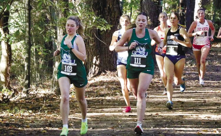 Cross country teams finish fourth in Peach Belt Championship