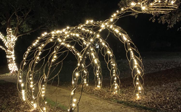 Chrissssssssss the snake is one of the few sculptures decorated with lights to serve as an archway for visitors to walk under. BAILEY MCCULLY/Staff