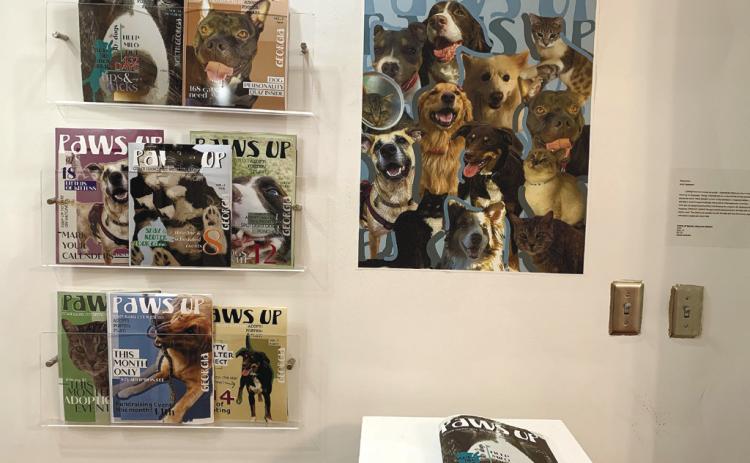 Inspired by Zoobooks, Grace Horrin created magazine editions of dogs and cats in need throughout Georgia. With this piece, she hoped to bring more awareness to shelters.