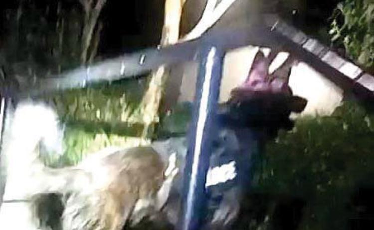 MPD assists Washington County in breakthrough of ongoing investigation