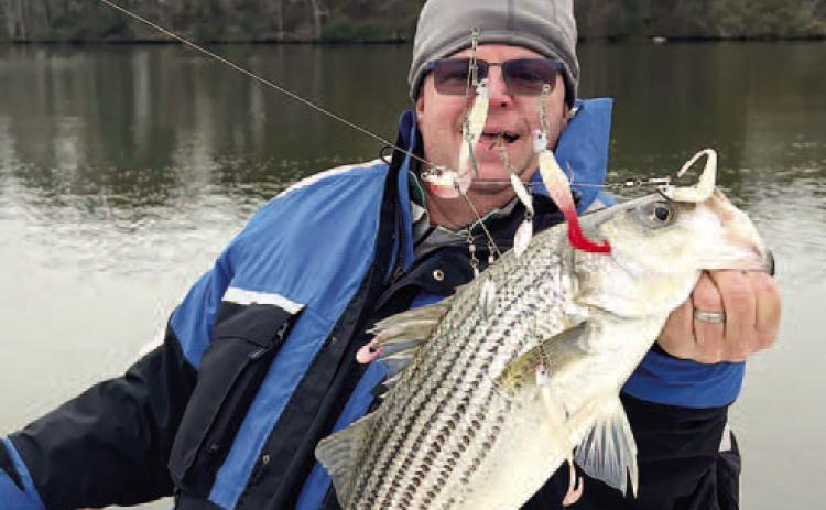 Kevin Wahl with a Lake Sinclair Striper caught trolling a mini Mack. CONTRIBUTED