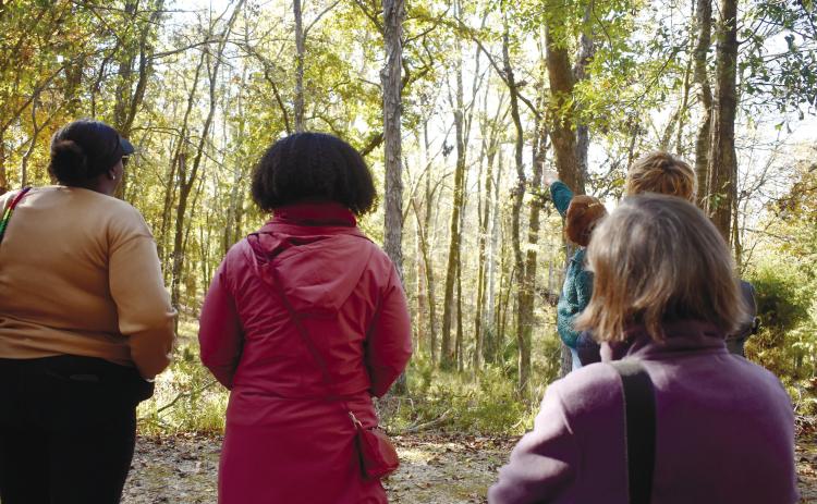 Academic Outreach Director Ruth Eilers points to a shagbark hickory (center) and walks participants through how she used the bark to narrow the tree down to two potential species and then used the leaves to identify it as a shagbark hickory. BAILEY MCCULLY/Staff