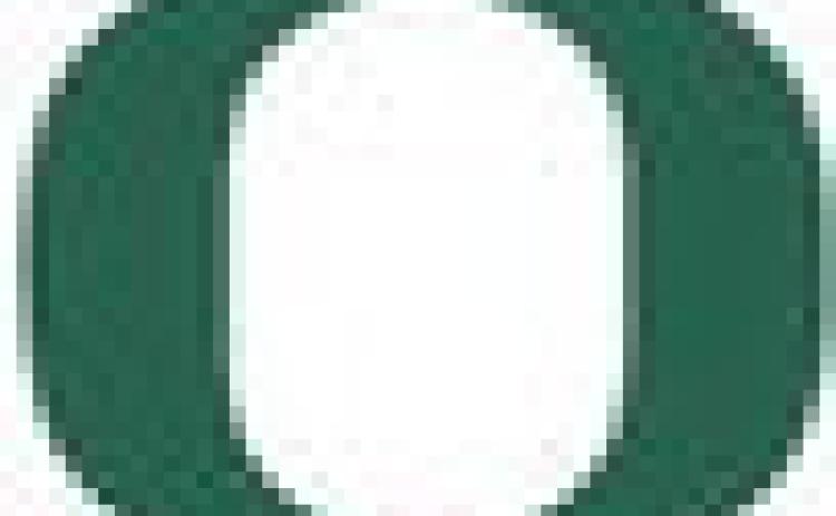 Alt Text for Image