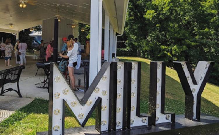 Fresh finds and local flavor at Milly farmers market