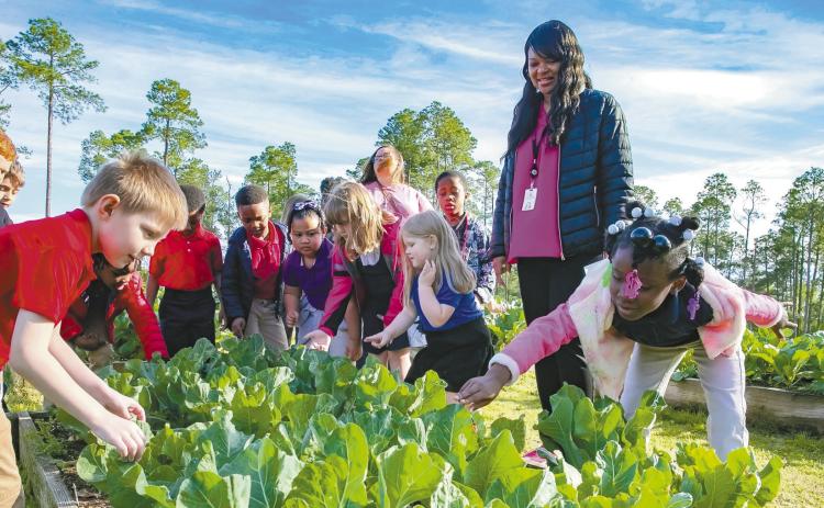 Students learn about balanced meals, different types of gardening, nutrition, and other topics while interacting with the gardens at each of their schools. Pictured above are students with Nutrition Wellness Coordinator A’keti Mayweather. CONTRIBUTED