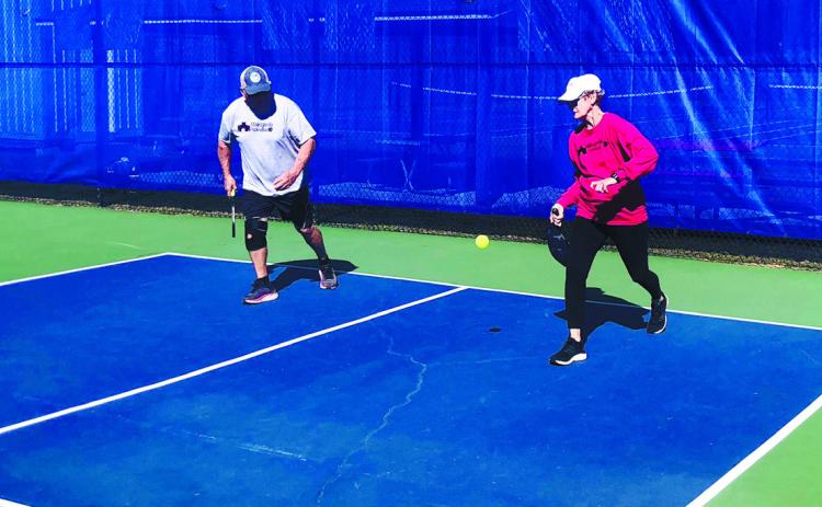 BOC continues to ponder pickleball courts