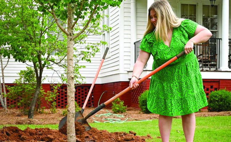 Awardee Abigail Lee planted a ginkgo tree, one of the oldest tree species on Earth known for its adaptability, resilience and strength on Georgia College’s campus. COURTESY OF GCSU