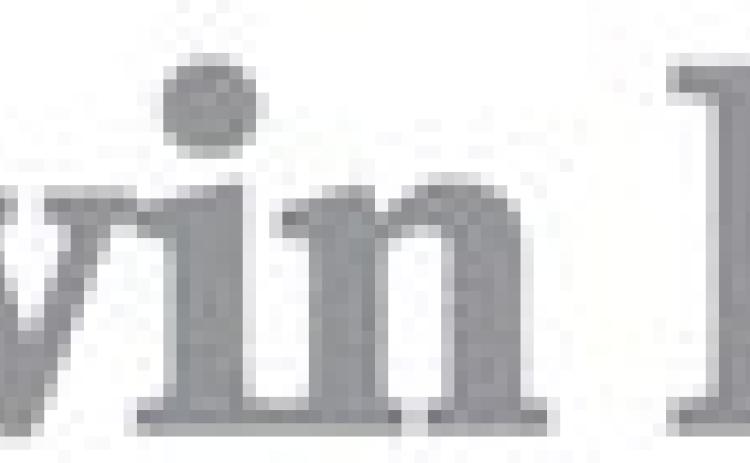 Alt Text for Image