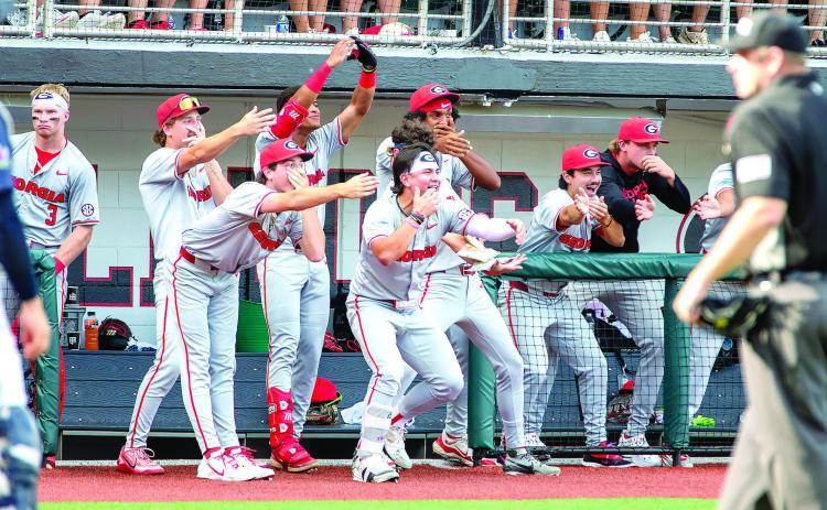 Georgia players celebrate a home run from the dugout during their game against Liberty on Saturday, May 30. SKYLA MORRIS/Staff