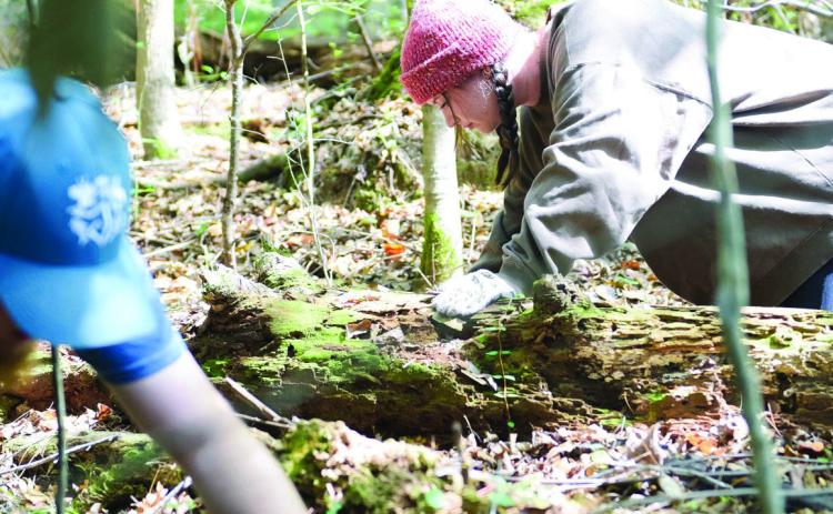 Elena Cruz (right) and another student rummage through piles of dead leaves in the woods at the Lake Laurel Biological Station in Milledgeville. CONTRIBUTED